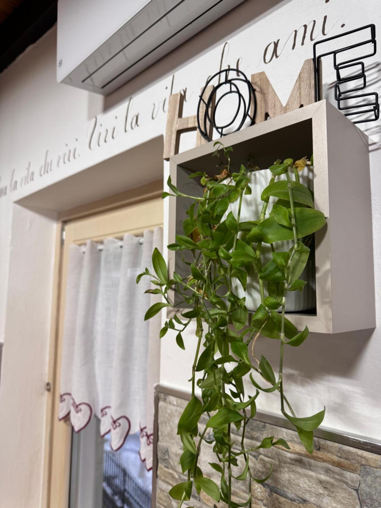 Residenze Vezza - Home Sweet Home- Vezza dʼOglio Dış mekan fotoğraf